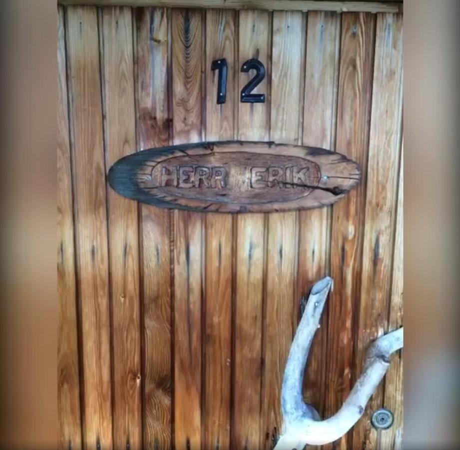 Laetasenonmajat Hotel Enontekiö Екстериор снимка