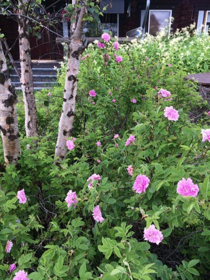 Laetasenonmajat Hotel Enontekiö Екстериор снимка